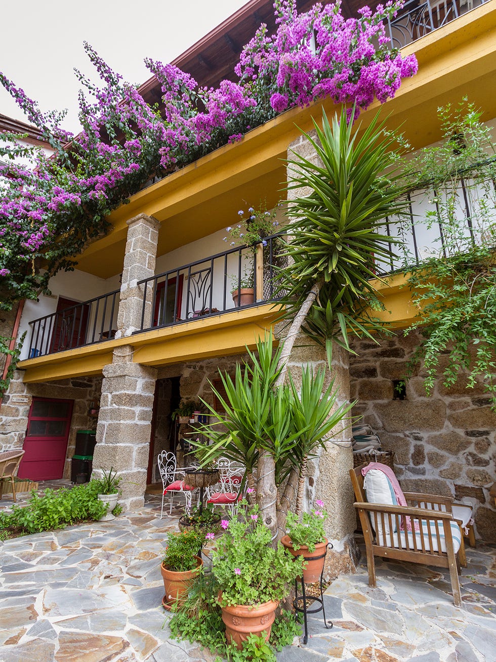 Property, Flower, House, Real estate, Patio, Building, Plant, Balcony, Residential area, Home, 