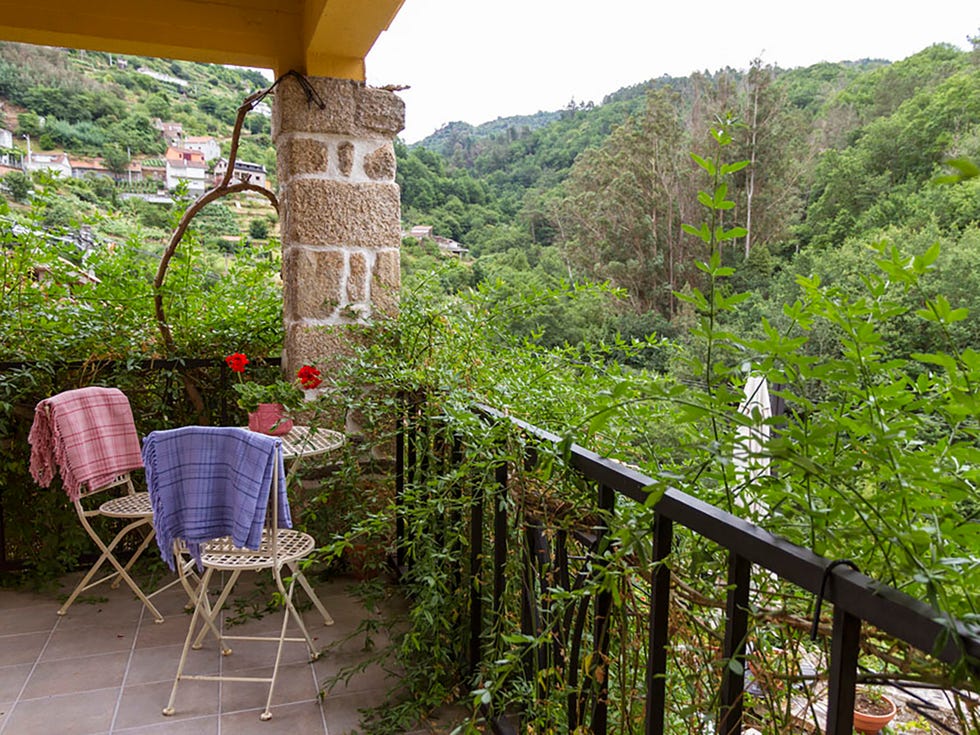 Vegetation, Property, Nature reserve, Tree, Botany, House, Garden, Cottage, Room, Real estate, 