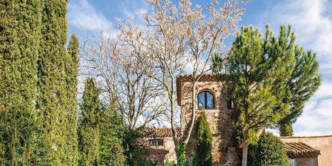 Plant, Shrub, Garden, Hedge, Woody plant, Lawn, Groundcover, Landscaping, Yard, Backyard, Plant, Shrub, Garden, Hedge, Woody plant, Lawn, Groundcover, Landscaping, Yard, Backyard,
