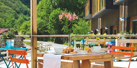 Plant, Flowerpot, Petal, Flower, Furniture, Table, Outdoor table, Outdoor furniture, Chair, Bouquet, Plant, Flowerpot, Petal, Flower, Furniture, Table, Outdoor table, Outdoor furniture, Chair, Bouquet,