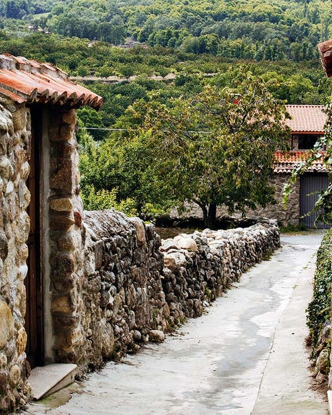 Stone wall, Rural area, Village, Shrub, Roof, Cobblestone, Walkway, Path, Plantation, Cottage, 