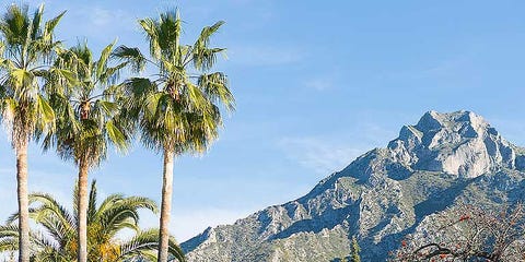Mountainous landforms, Mountain range, Mountain, Woody plant, Real estate, Residential area, Arecales, House, Valley, Hill station, Mountainous landforms, Mountain range, Mountain, Woody plant, Real estate, Residential area, Arecales, House, Valley, Hill station,