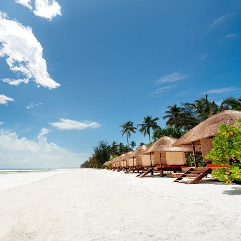 Tree, Sand, Woody plant, Azure, House, Tropics, Arecales, Beach, Caribbean, Shore, 