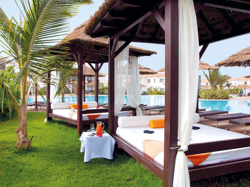 Resort, Property, Building, Vacation, Room, House, Tree, Palm tree, Outdoor furniture, Furniture, 