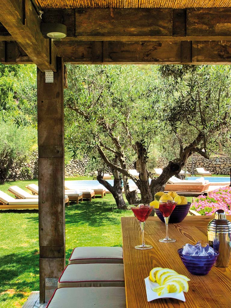 Tree, Table, Room, Grass, Backyard, Spring, House, Plant, Branch, Interior design, 