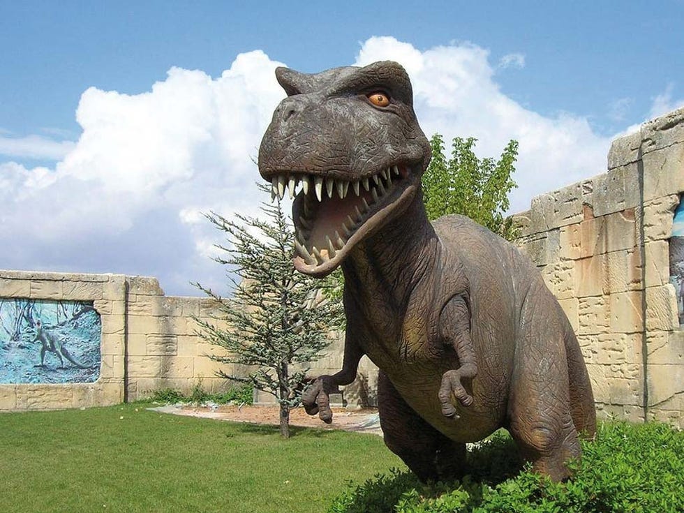 Dinosaur, Tyrannosaurus, Velociraptor, Terrestrial animal, Grass, Jaw, Leaf, Mouth, Snout, Sky, 