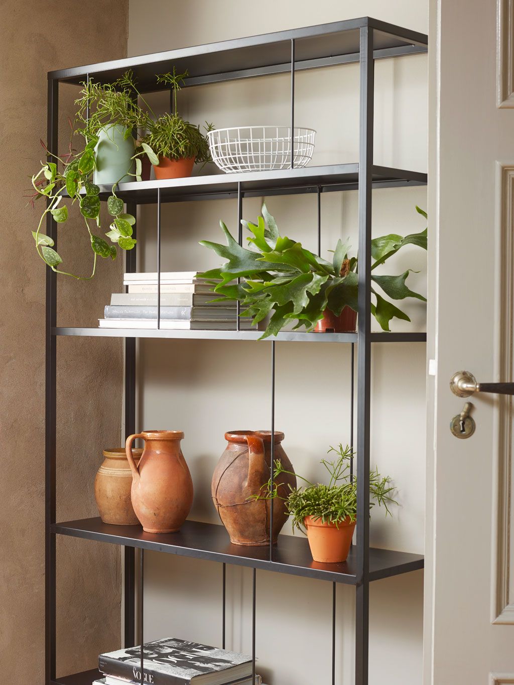 Librería con plantas , estantería con plantas