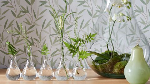 Presentar Millas viernes 30 ideas para decorar con plantas los rincones de tu casa
