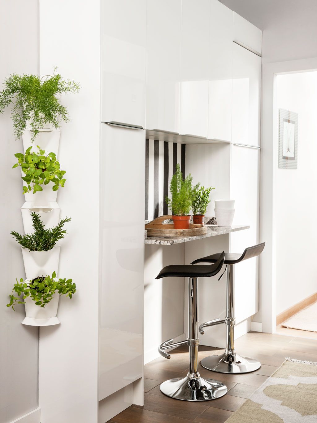 30 ideas para decorar con plantas los rincones de tu casa