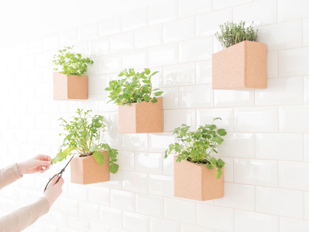 Traición Posesión transmisión 30 ideas para decorar con plantas los rincones de tu casa