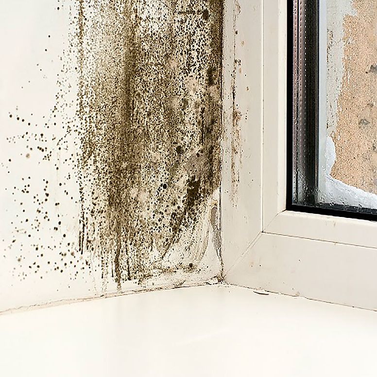Qué es la humedad en las paredes, que tipos hay y cómo evitarlas