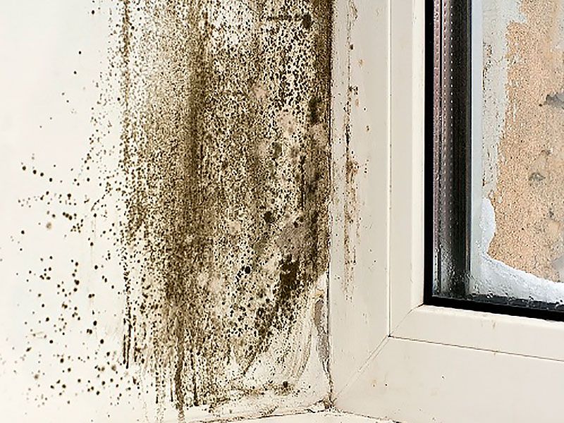 Medir la humedad en el hogar, ¿cómo saber si mi casa está afectada?