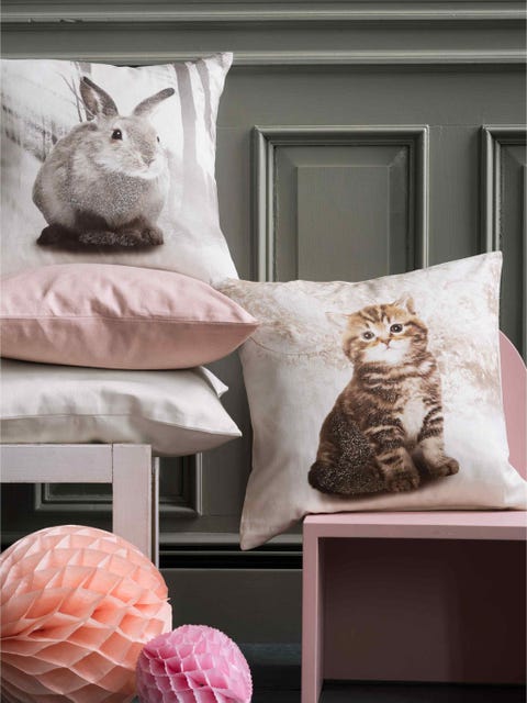 Vertebrate, Pink, Carnivore, Felidae, Small to medium-sized cats, Door, Cat, Grey, Peach, Home, 