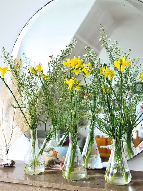 Flower, Cut flowers, Yellow, Plant, Flowerpot, Vase, Floristry, Bouquet, Wildflower, Flower Arranging, 