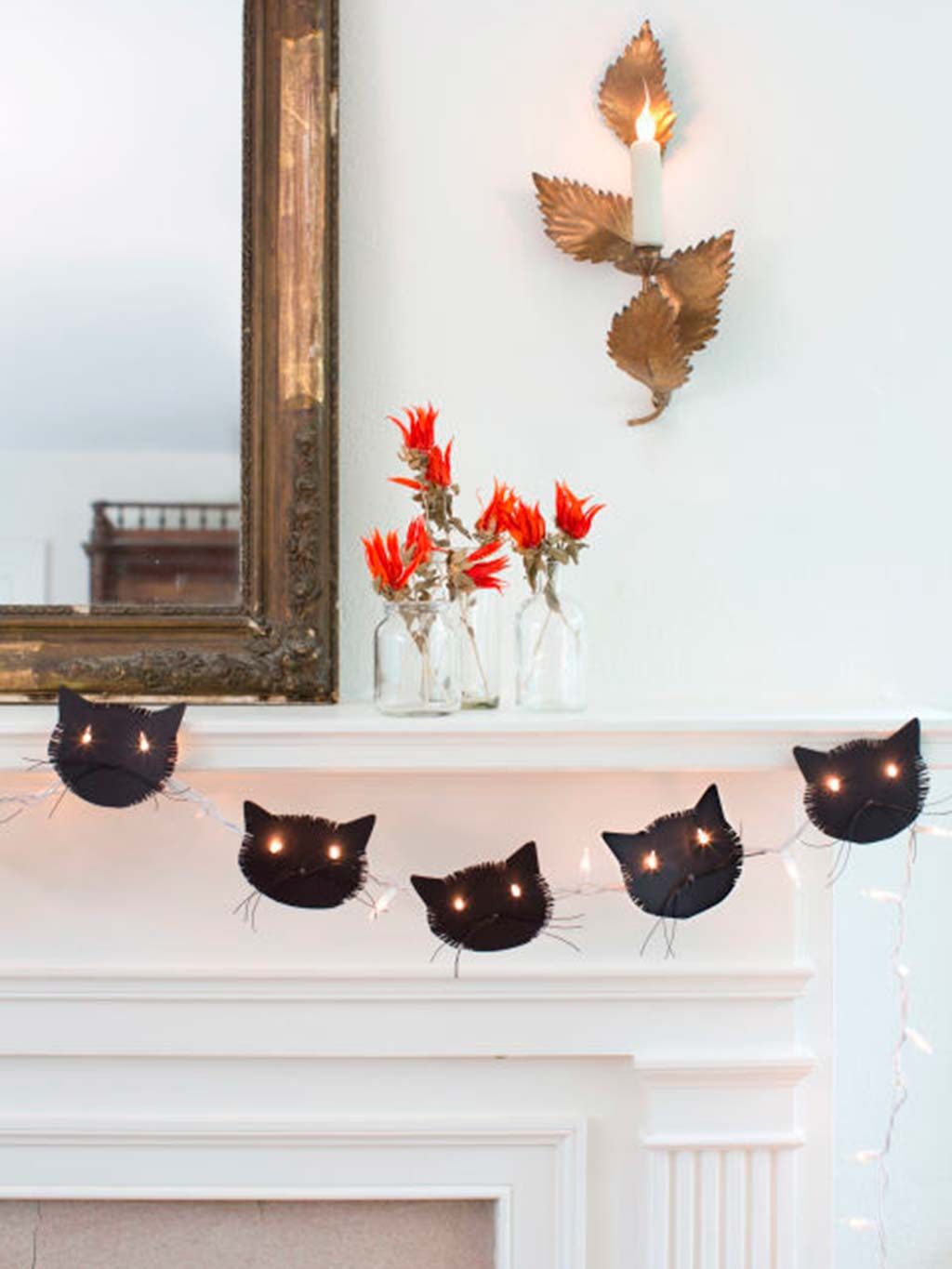 Leaf, Room, Shelf, Wall, Cat, Interior design, Furniture, House, Plant, Still life photography, 