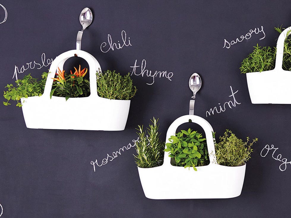 maceta colgante para hierbas aromáticas