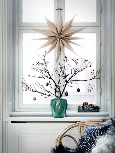 Wood, Branch, Interior design, Room, Twig, Leaf, Flowerpot, Wall, Interior design, Art, 