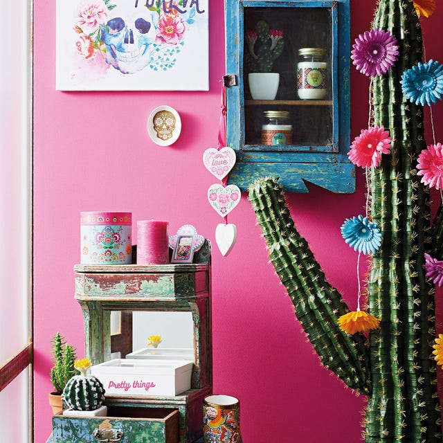 ambiente decorado con cactus