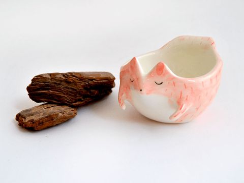 Pink, Ceramic, Wood, Tableware, Serveware, Plant, Teacup, Cup, 