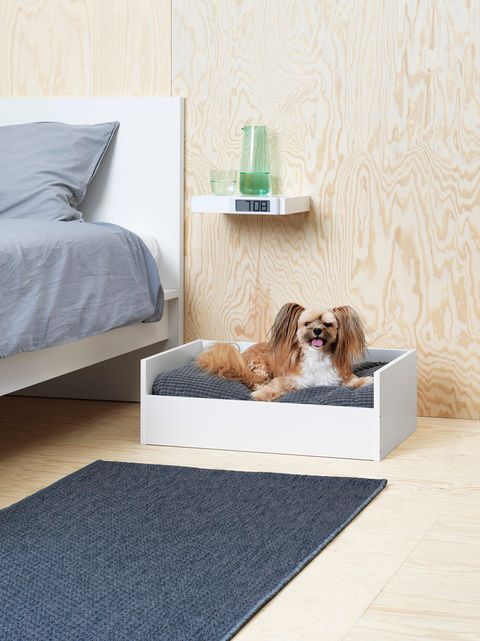 Ikea lanza colección para mascotas - Mascotas
