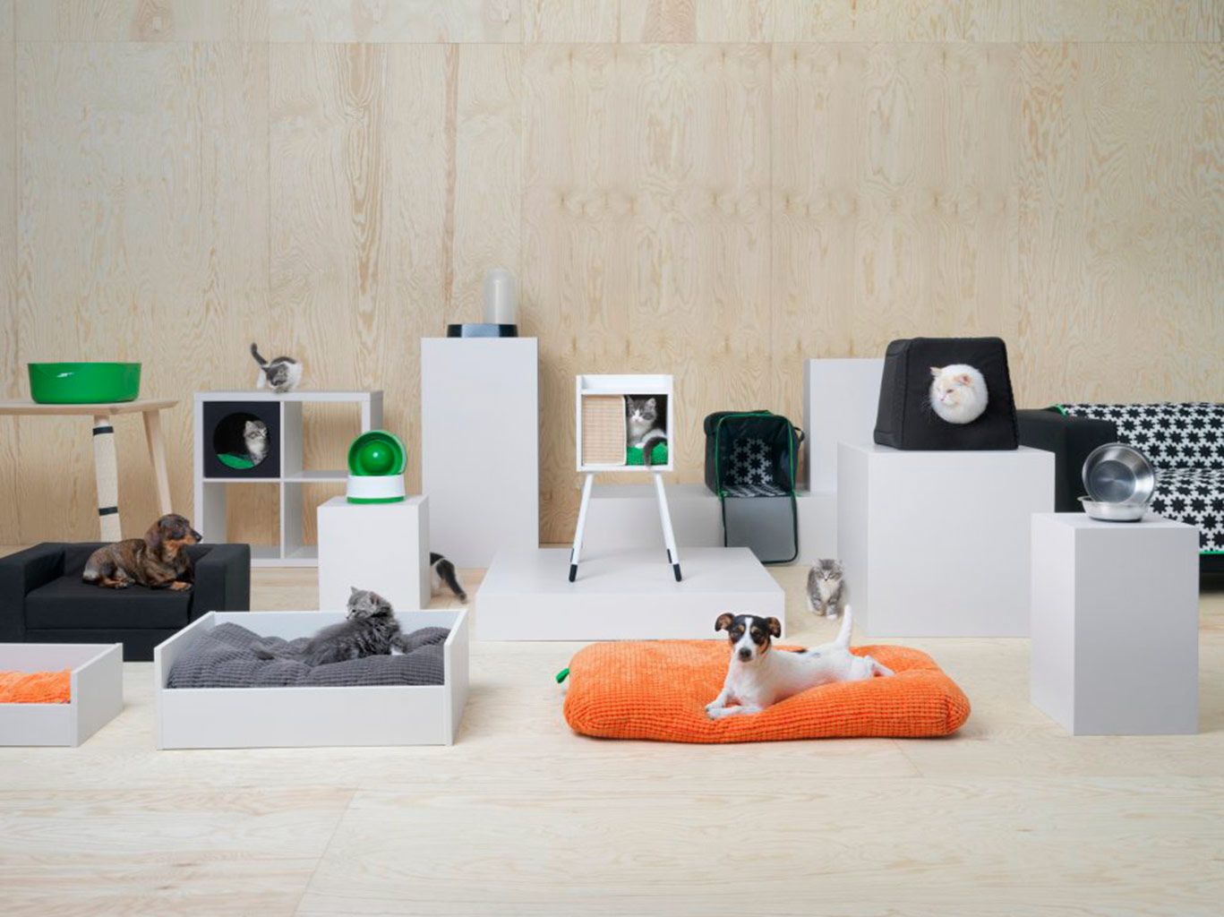 Ikea lanza una colección para mascotas - Mascotas