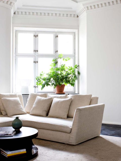 Interior design, Room, Floor, Window, Flooring, Wall, Living room, White, Furniture, Home, 