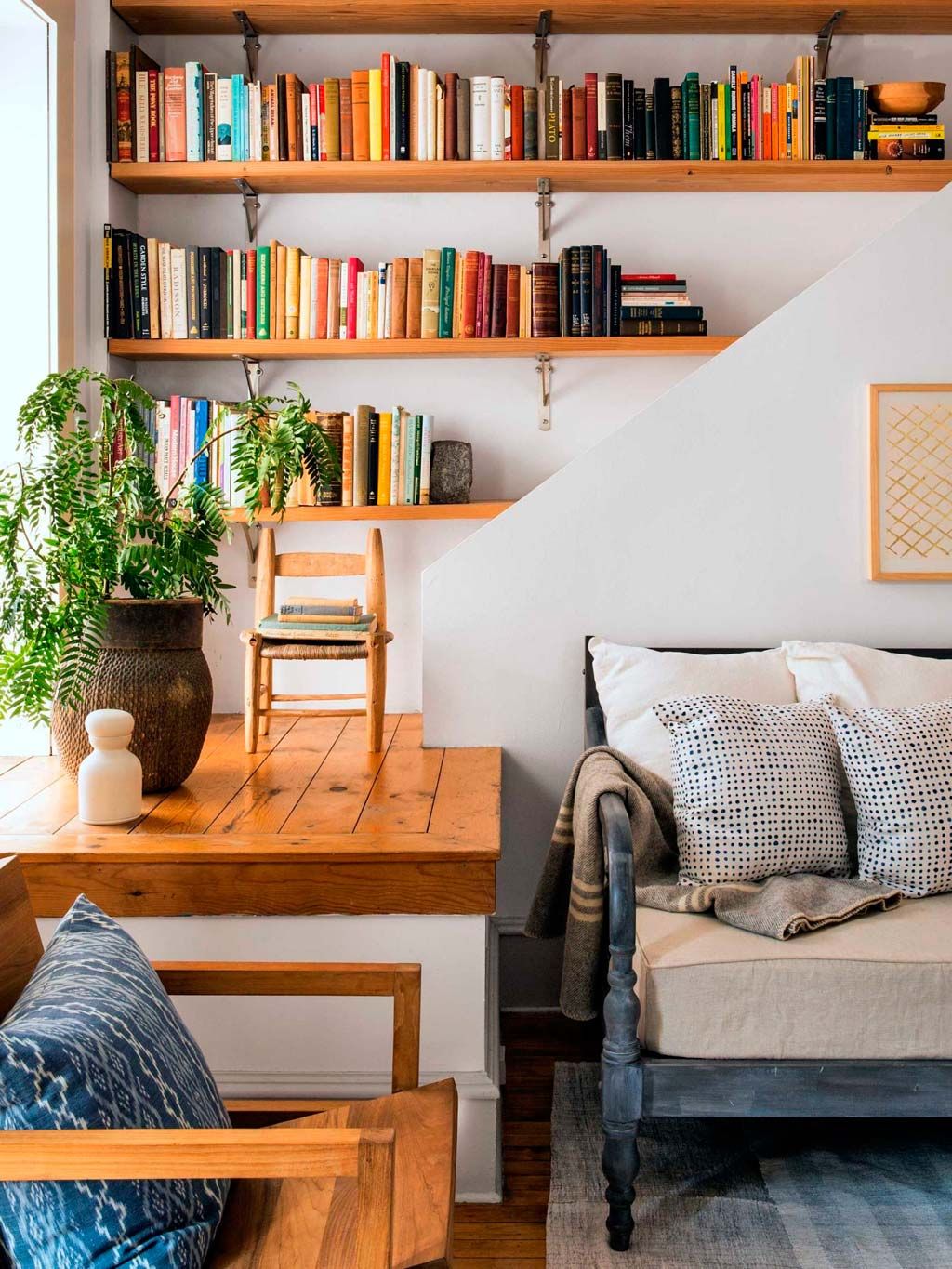 Wood, Blue, Room, Interior design, Flowerpot, Furniture, Wall, Shelf, Shelving, Bookcase, 