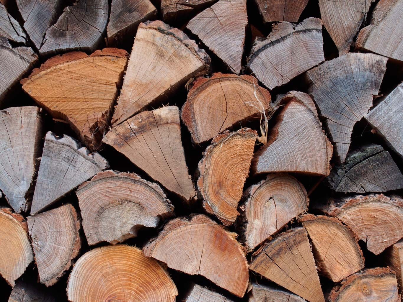 Wood, Brown, Woody plant, Natural material, Close-up, Logging, Hardwood, Tan, Trunk, Still life photography, 