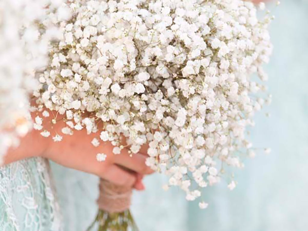Petal, People in nature, Spring, Embellishment, Cut flowers, Blossom, Ceremony, Lace, Bridal accessory, Floral design, 