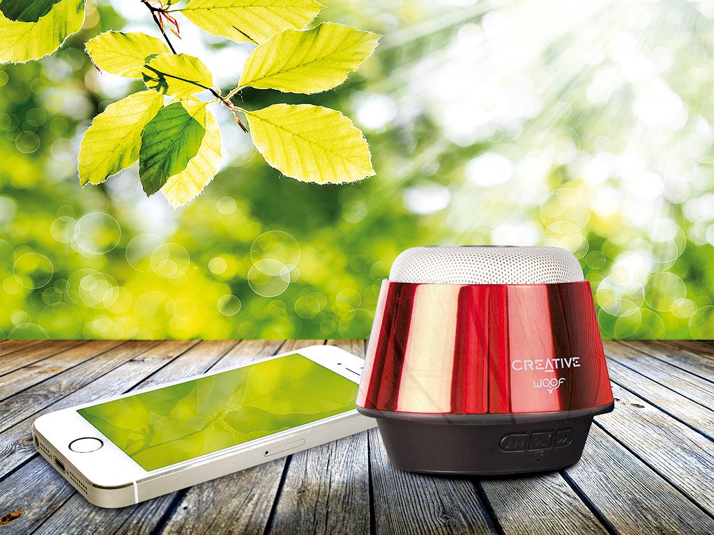 Leaf, Communication Device, Portable communications device, Mobile device, Home accessories, Mobile phone, Gadget, Smartphone, Telephony, 