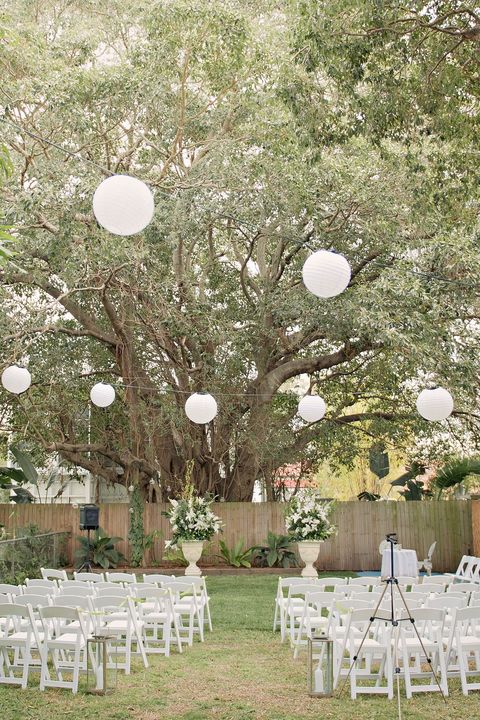 Photograph, Chiavari chair, Tree, Yellow, Ceremony, Decoration, Wedding reception, Branch, Backyard, Table, 