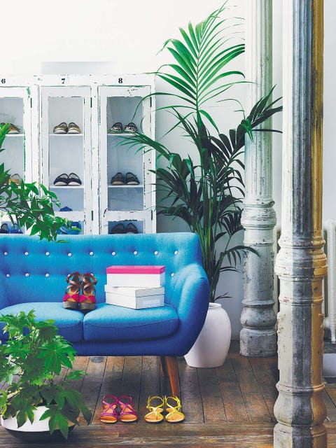 Interior design, Wall, Flowerpot, Majorelle blue, Living room, Interior design, Turquoise, Aqua, Couch, Home, 