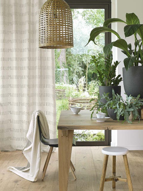 Plant, Room, Interior design, Table, Flowerpot, Interior design, Lampshade, Home accessories, Houseplant, Light fixture, 