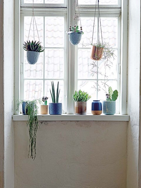 Flowerpot, Wall, Interior design, Interior design, Fixture, Houseplant, Vase, Window treatment, Daylighting, Pottery, 