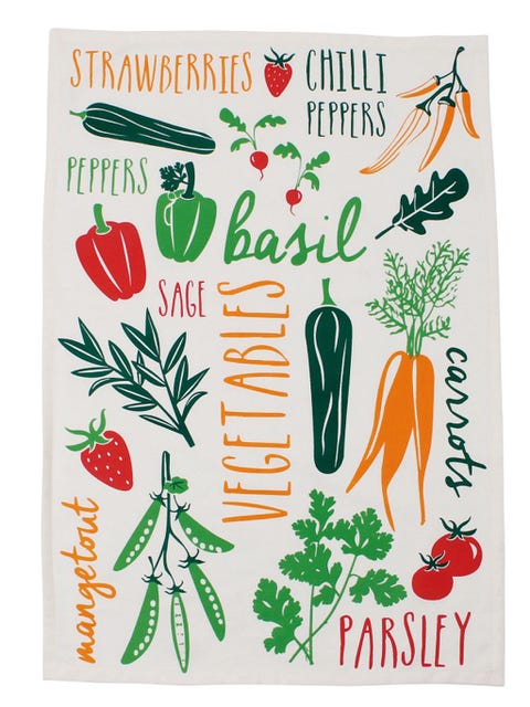 Botany, Flowering plant, Produce, Ingredient, Root vegetable, Natural foods, Illustration, Carrot, Vegetable, wild carrot, 