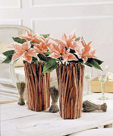 jarrones con poinsettias
