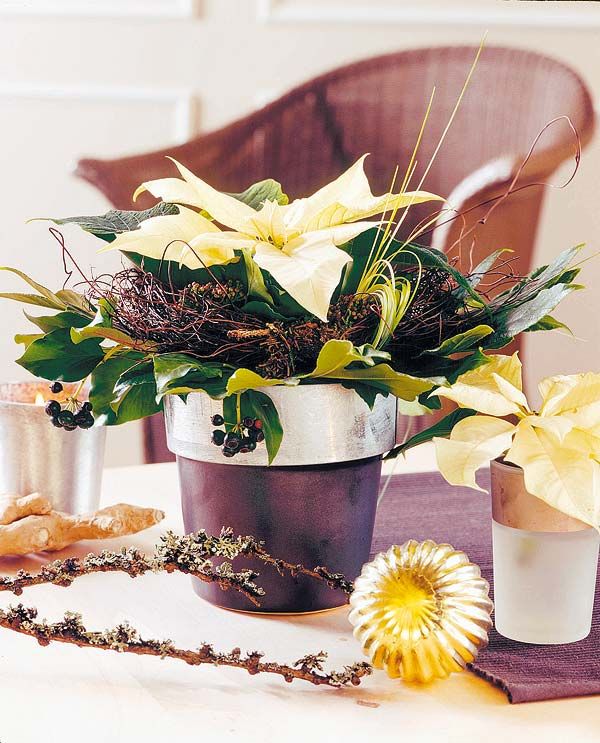 30 Ideas para centros de mesa y arreglos con flor de Pascua