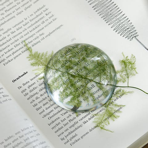 Leaf, Botany, Publication, Paper, Paper product, Book, Herb, 