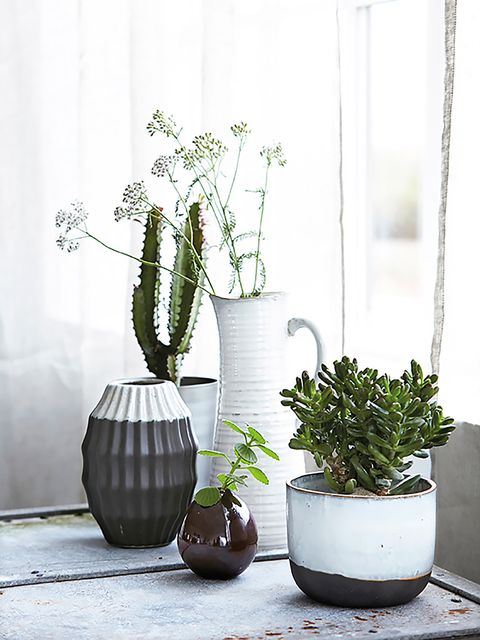 Flowerpot, Interior design, Botany, Houseplant, Vase, Plant stem, Still life photography, Pottery, Annual plant, Artifact, 