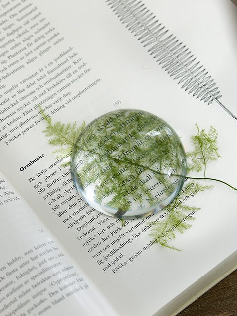 Botany, World, Publication, Paper, Paper product, Book, Sphere, 