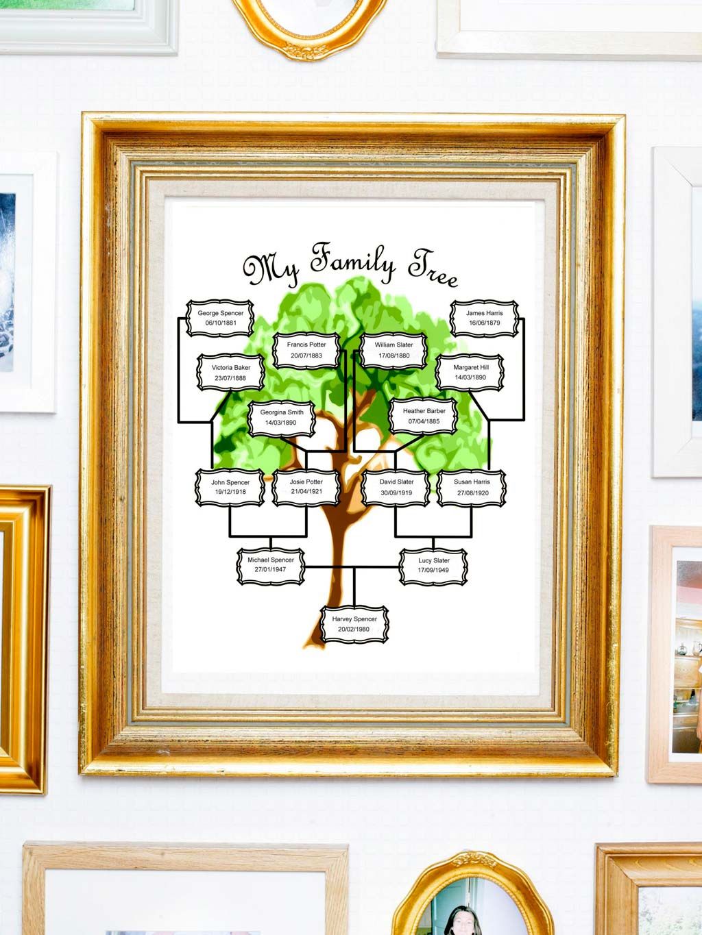 Green, Tree, Leaf, Illustration, Botany, Houseplant, Plant, Organism, Room, Art, 