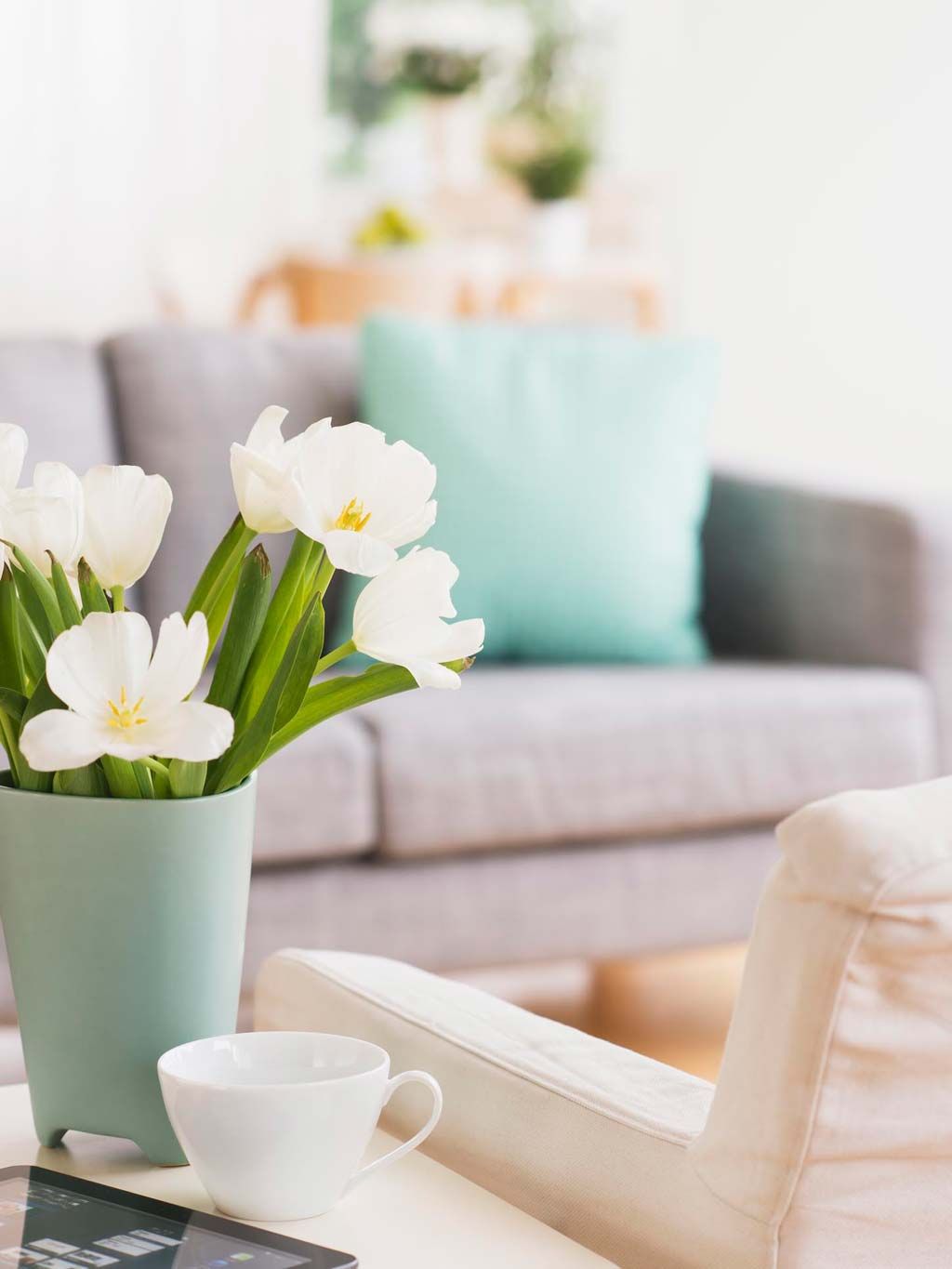 White, Room, Flowerpot, Flower, Living room, Yellow, Table, Plant, Furniture, Interior design, 