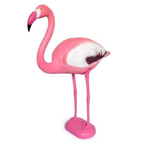 Flamingo, Bird, Greater flamingo, Pink, Water bird, Beak, Neck, Animal figure, Feather, 
