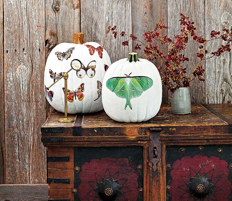 calabazas decoradas con estampados