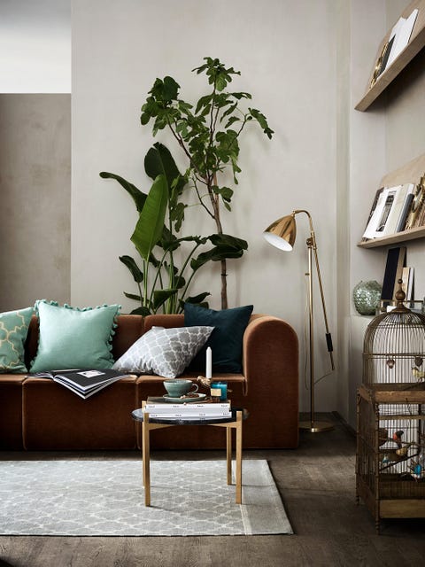 Room, Interior design, Furniture, Wall, Shelf, Shelving, Interior design, Coffee table, Living room, Home, 