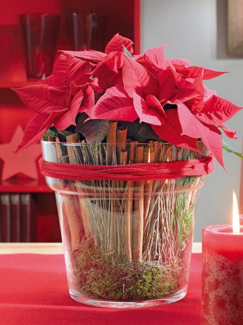 Red, Petal, Interior design, Cut flowers, Candle, Centrepiece, Carmine, Flower Arranging, Wax, Present, 