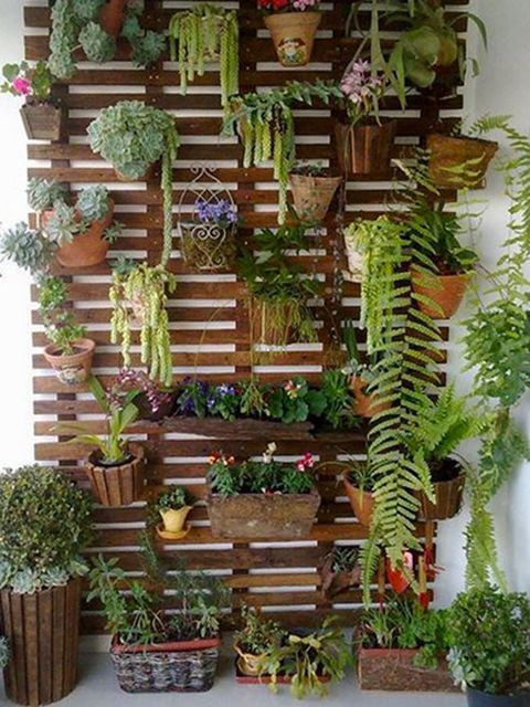 10 Ideas decorar el Hogar plantas— Villarreal Muebles Cd Juárez