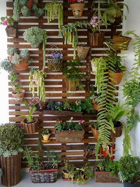 Diez ideas para colocar plantas en casa