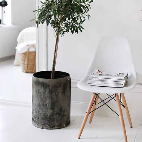 Flowerpot, Interior design, Houseplant, Still life photography, Design, Lamp, Cylinder, Household supply, Vase, Home accessories, 