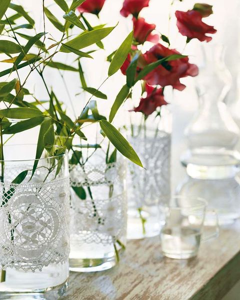 Petal, Glass, Flower, Liquid, Drinkware, Fluid, Cut flowers, Flowering plant, Carmine, Artifact, 